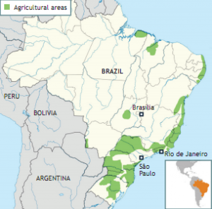 Map of Agricultural Areas in Brazil
