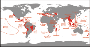Figure 1 | source: “Biodiversity hotspots for conservation priorities” by Myers et al. 2000; Nature.